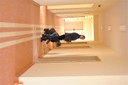 DSC_7184.JPG - thumbnail